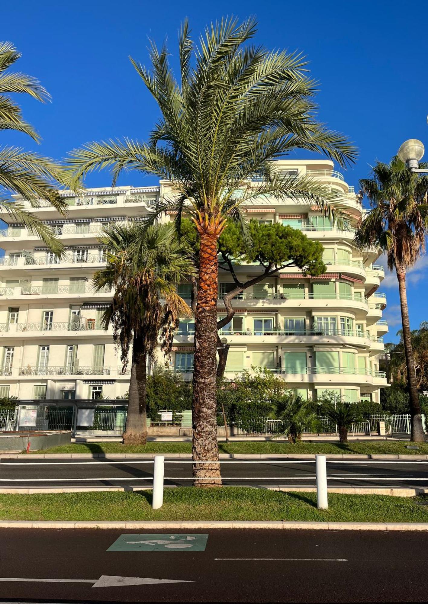 Nice 115 By The Sea מראה חיצוני תמונה